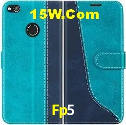 Recursos de Bônus Fp5